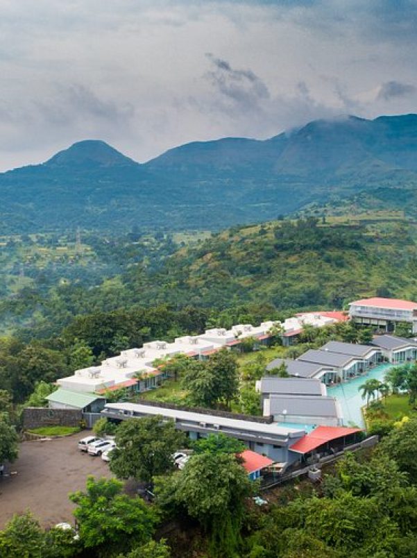 the-forest-club-resort